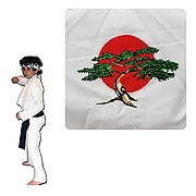 Karate Kid Daniel-San Child Costume